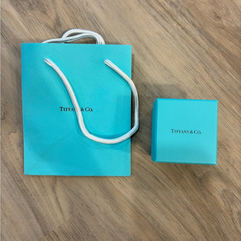 Tiffany & Co. Turquoise Bag and Box Duo